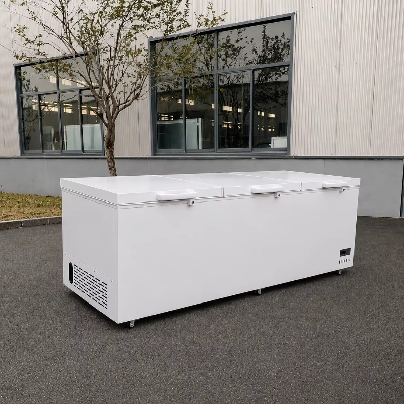 Materiał: stal nierdzewna. Lod – Commercial Chest Freezer recenzja i cena
