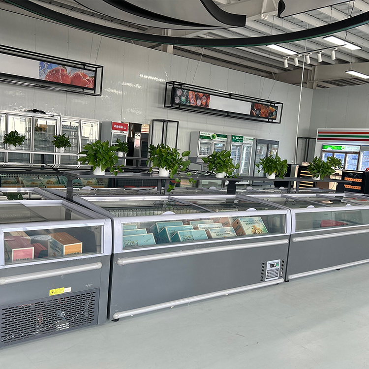 Komercyjna zamrażarka skrzynio – Commercial Chest Freezer recenzja i cena