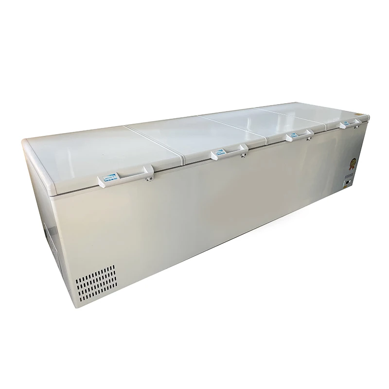 # Fabryczna Wyprzedaż: Komercy – Commercial Chest Freezer recenzja i cena