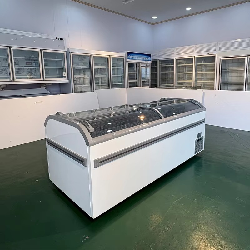 Lodówka z szklanym pokrywą i c – Commercial Chest Freezer recenzja i cena
