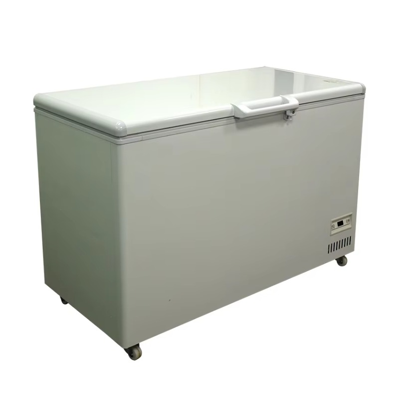 Profesjonalna, pozioma zamraża – Commercial Chest Freezer recenzja i cena